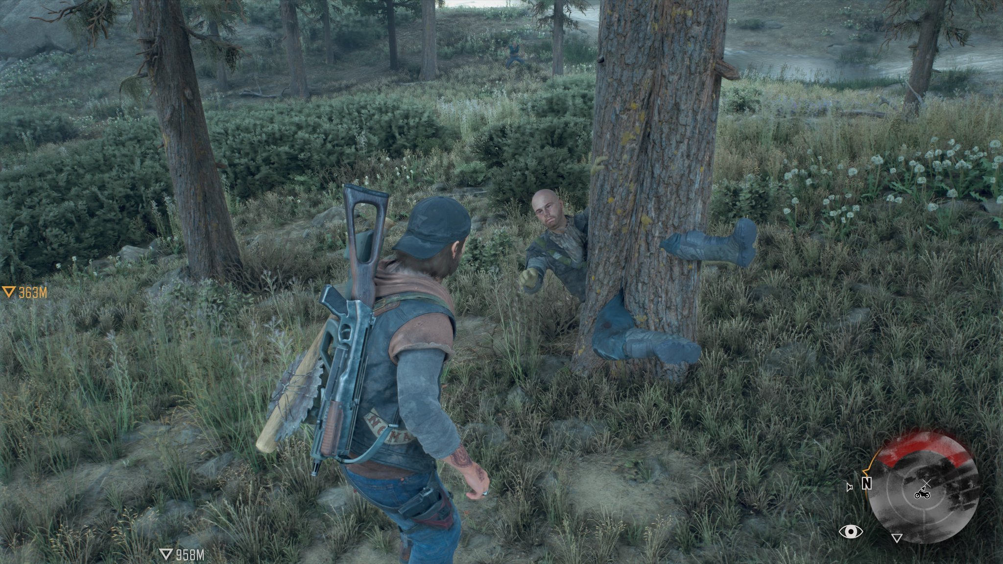 Days Gone Bug